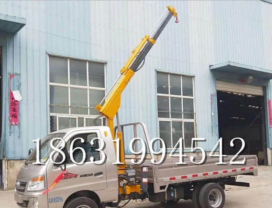 岳阳县车载吊机车载式的吊机遥控升降机价格全电动液压吊车载吊机车间车载
